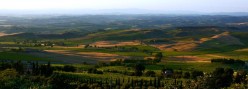 Le campagne intorno Murlo