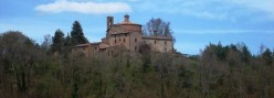 montesiepi in mezzo al bosco