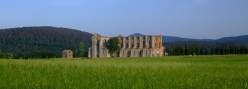 San Galgano in mezzo al verde