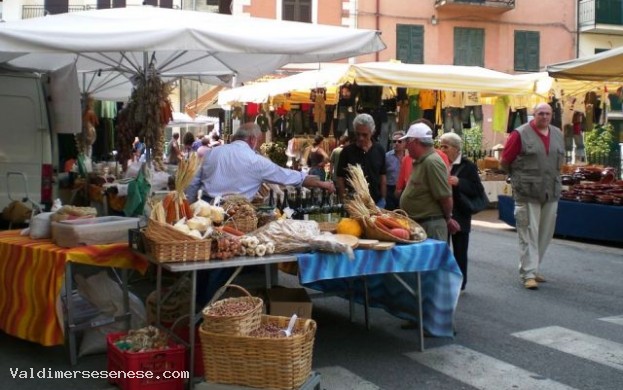 Mercato quindicinale di S. Rocco a Pilli