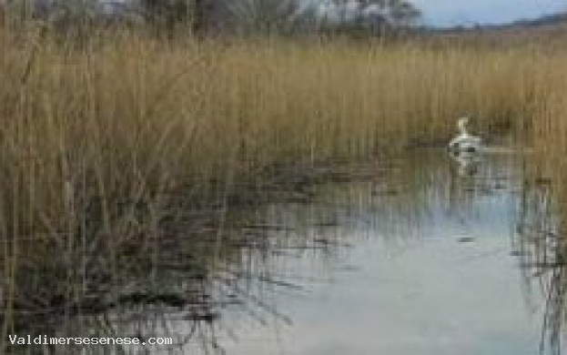 I “Chiari” tra leggende, arte e natura